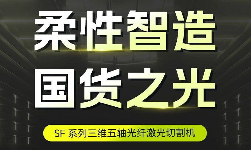 Flexible Intelligent Manufacturing, Premium Choice! SF Series 3D Five-Axis Fiber Laser Cutting Machi