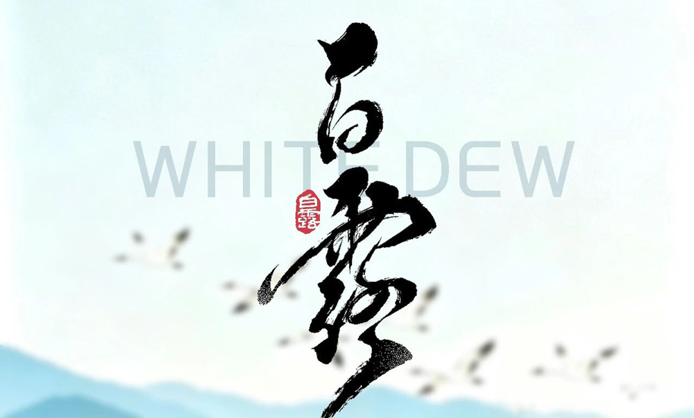 白露盈秋韵，高产赋效能，松谷激光